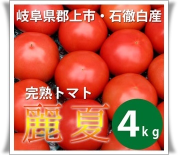 夏バテにいい食べ物 とまと おいしいトマトは医者いらず 通販 送料無料 夏バテにいい食べ物集合 夏バテ対策におすすめな食材